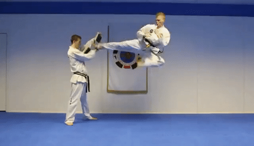 Kick.gif