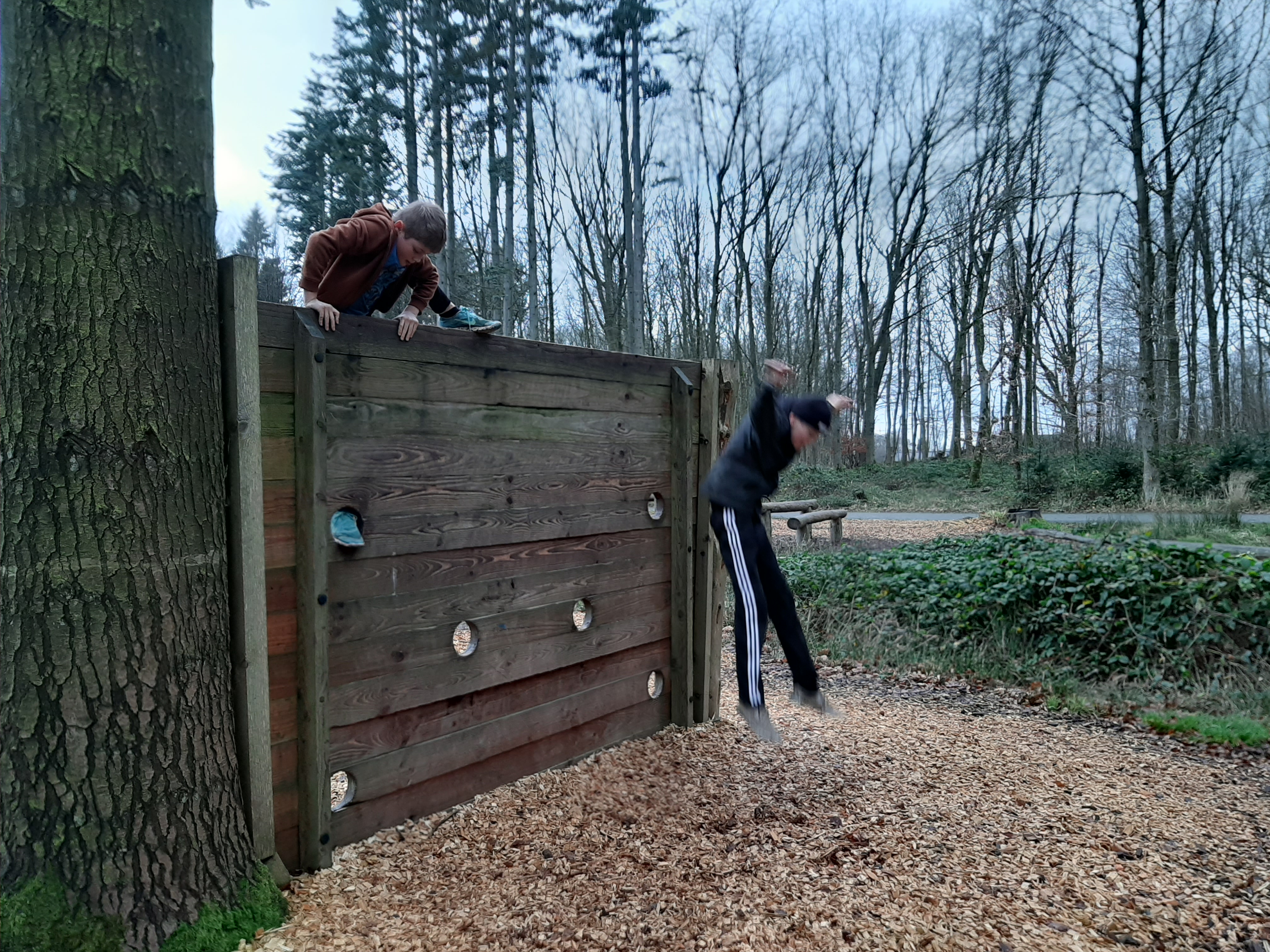 20201221_123536.jpg
